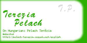 terezia pelach business card